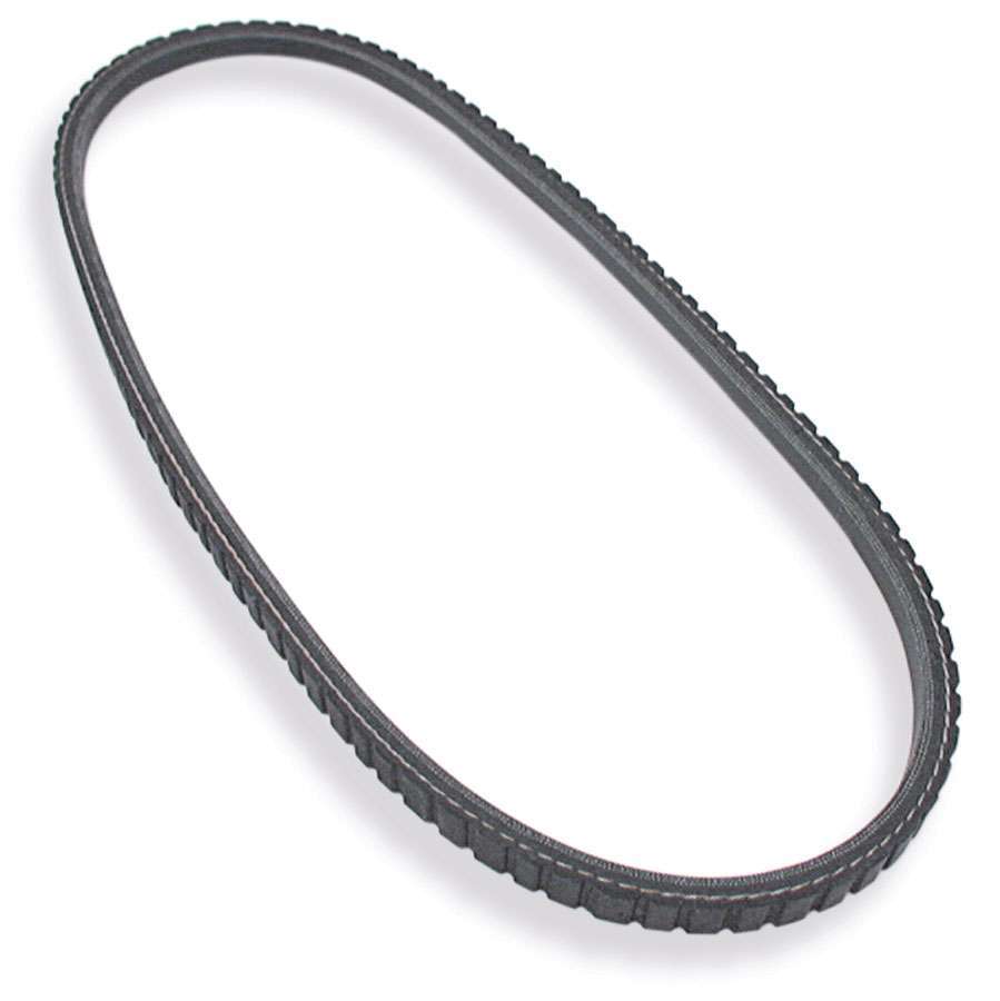 ALLSTAR PERFORMANCE V-Belt 31.5 ALLSTAR PERFORMANCE