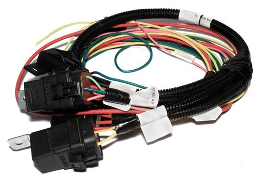 FAST ELECTRONICS Fan & Fuel Pump Wiring Harness Kit FAST ELECTRONICS