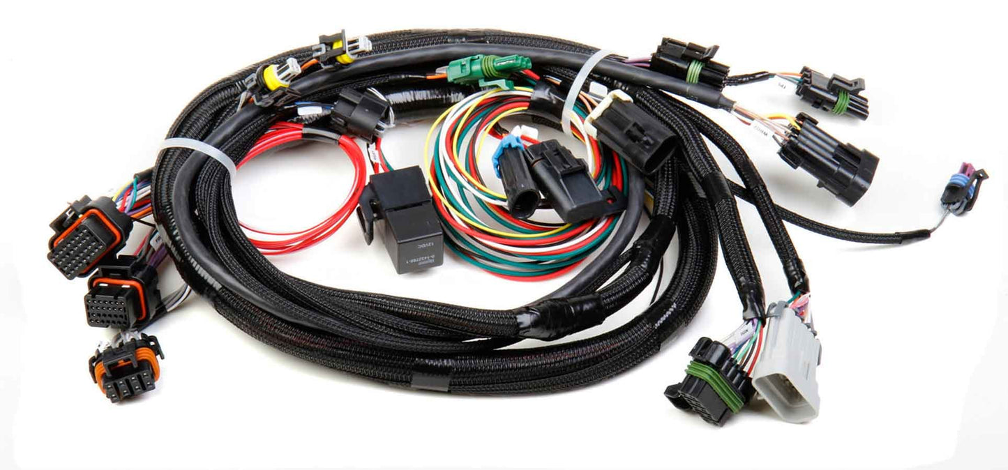 HOLLEY TPI Stealth Ram Main Harness HOLLEY