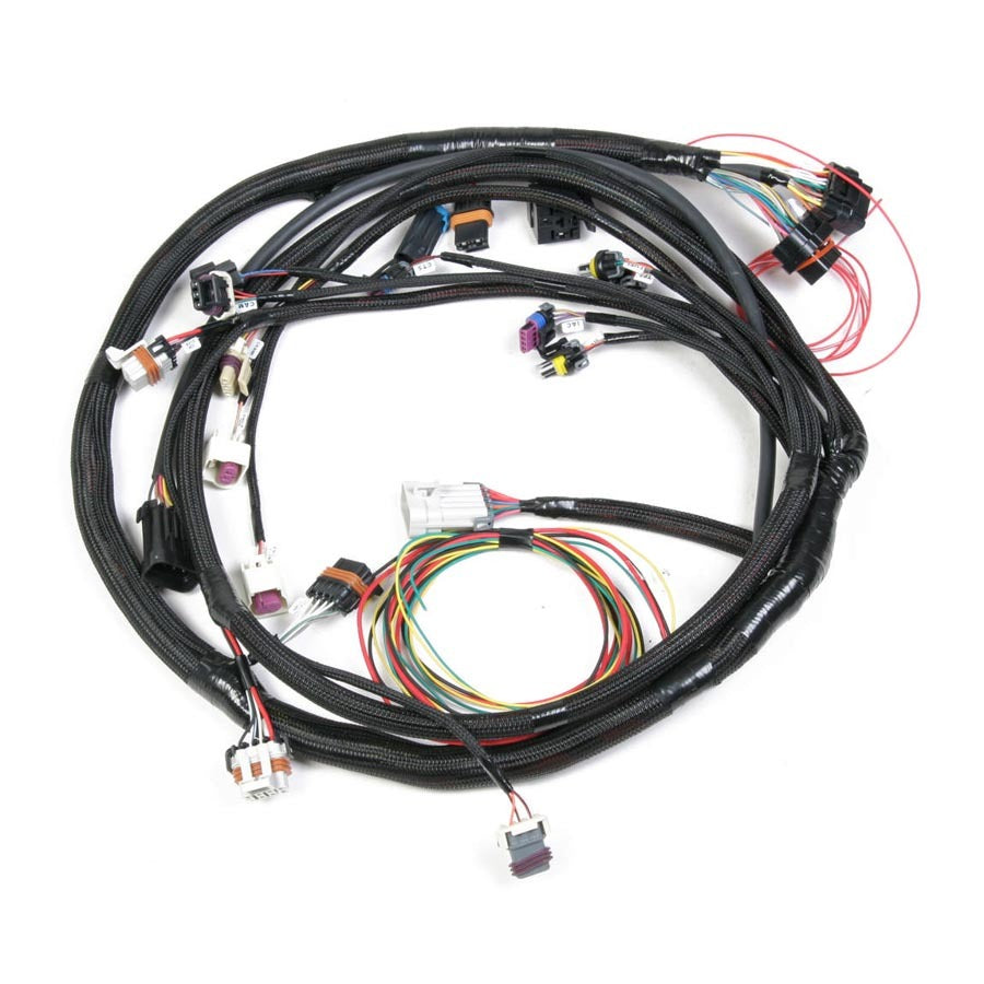 HOLLEY Main Wiring Harness LS2 & LS3 HOLLEY