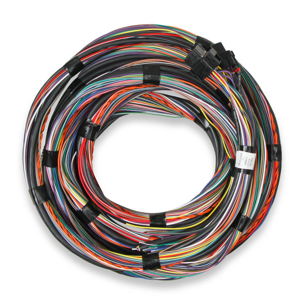 HOLLEY Flying Lead Main Harness HOLLEY