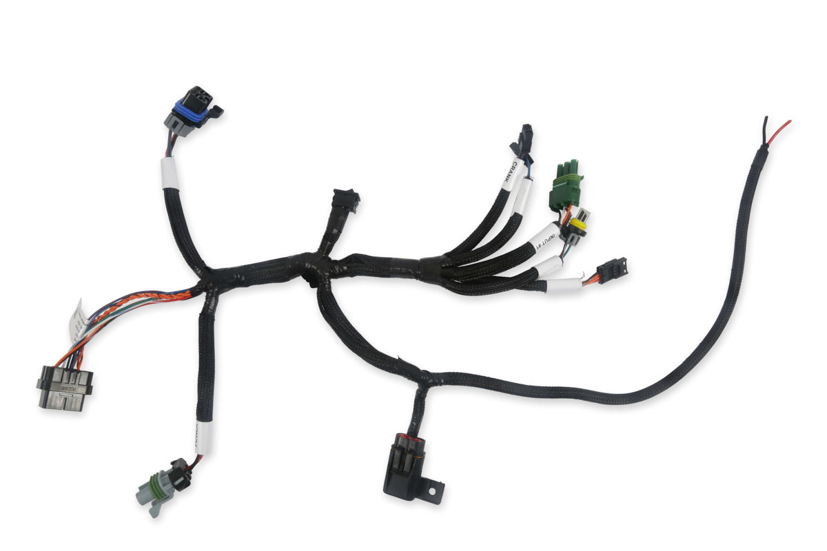 HOLLEY Bench-Top EFI Test Harness HOLLEY