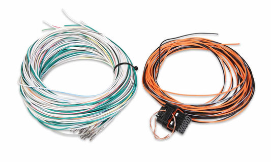 HOLLEY J4 Connector & Harness HOLLEY