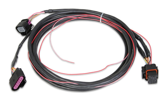 HOLLEY Drive By Wire Harness GM HOLLEY