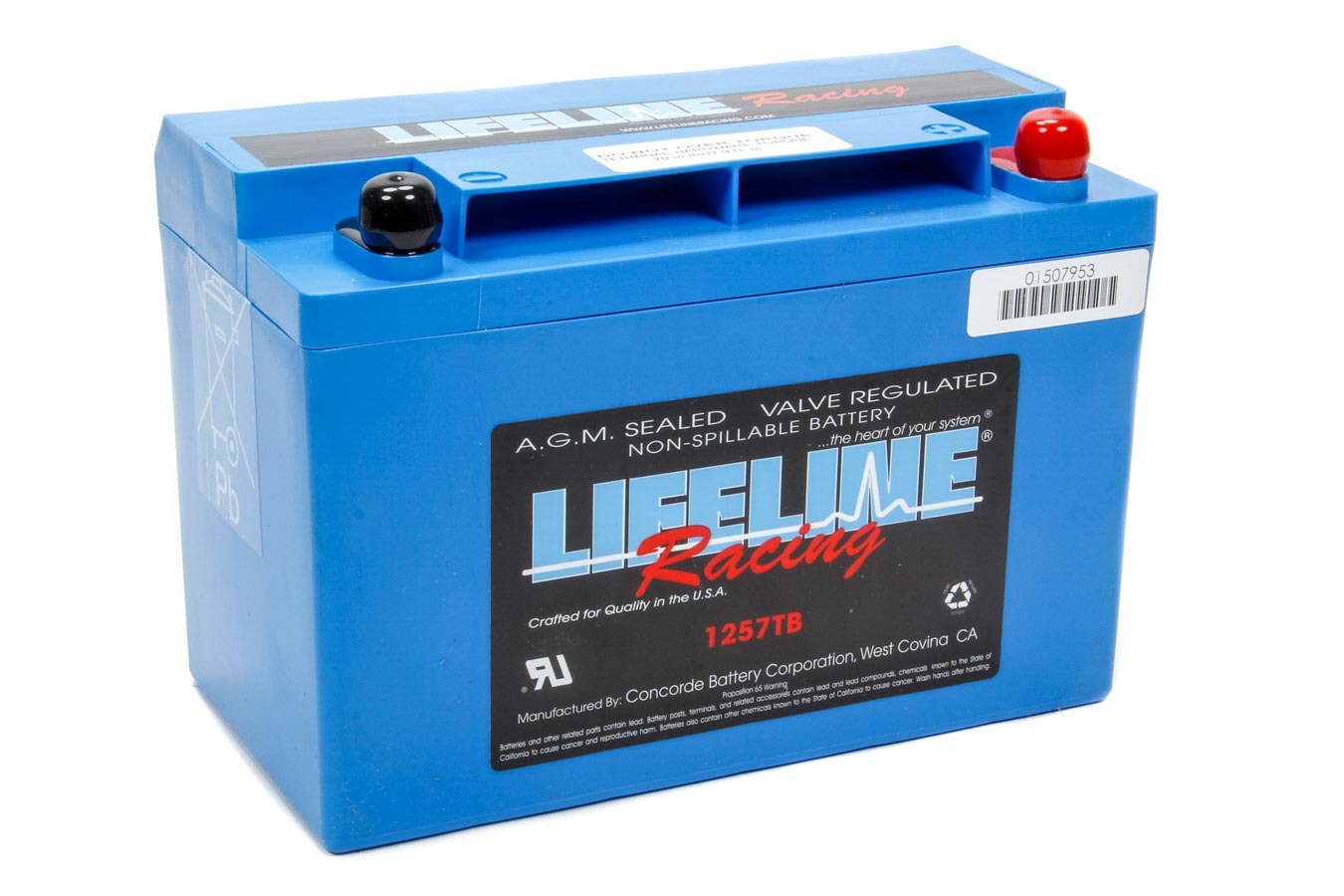 LIFELINE BATTERY Power Cell Battery 9.78 x 4.97 x 6.83 LIFELINE BATTERY