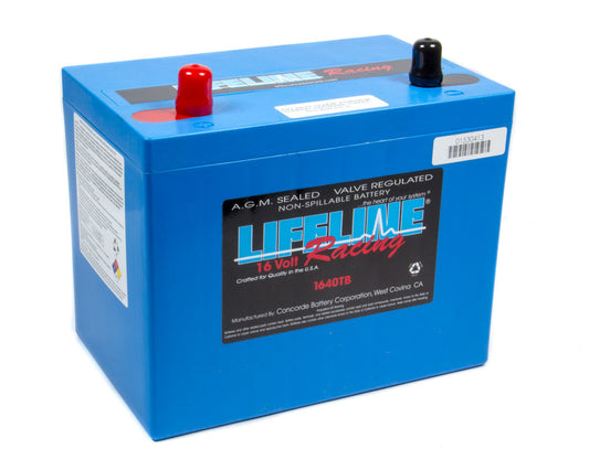 LIFELINE BATTERY 16 Volt 2 Post Battery LIFELINE BATTERY