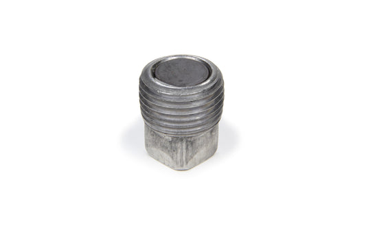 TRANS-DAPT 1/2in NPT Magnetic Drain Plug TRANS-DAPT