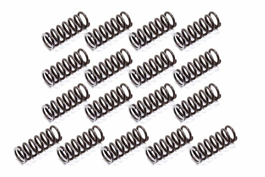 TSR RACING PRODUCTS P/G HD Reverse Springs TSR RACING PRODUCTS